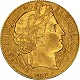Numismatica Catalogo | Operatore Professionale In Oro | Krugerrand Oro 1976