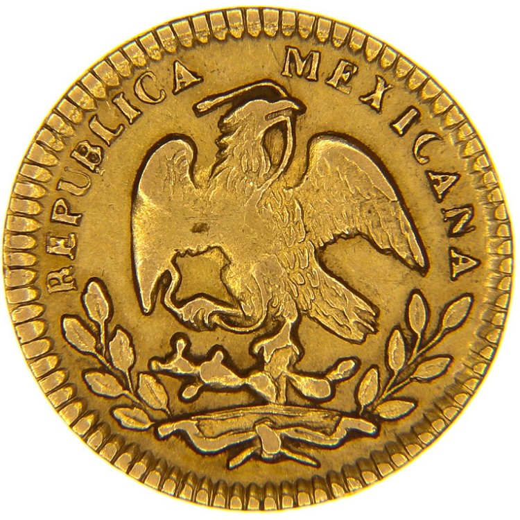 Regali Battesimo 2021 | Catalogo Monete d'Oro di Tutto il Mondo | 50 Dollari Oro Bisonte