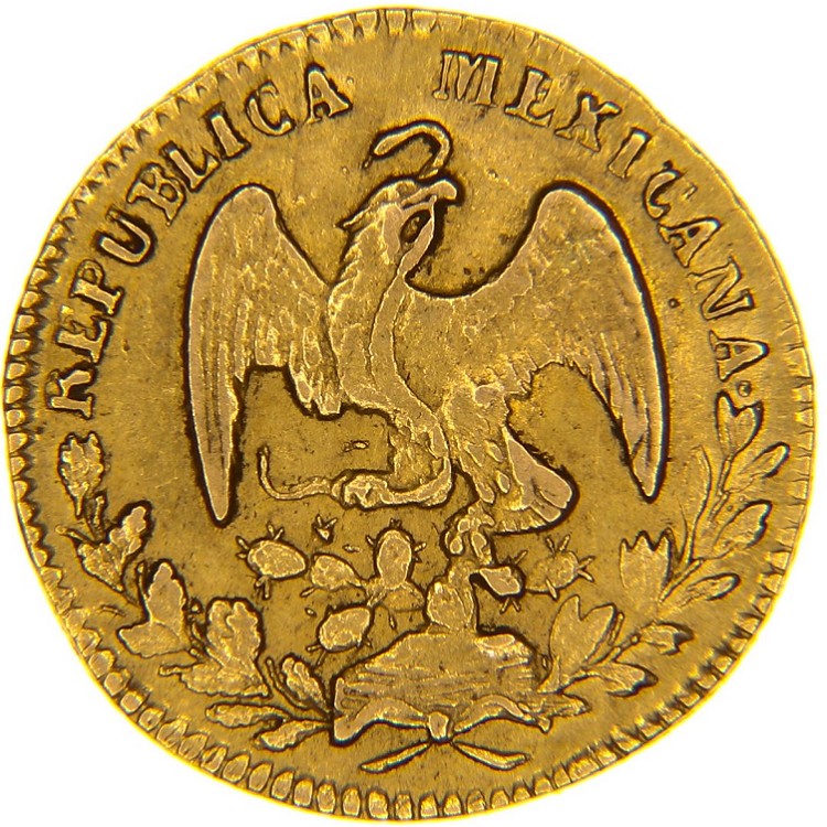 50 Dollari Oro Bisonte | Lingotti Oro | Monete Oro Americane