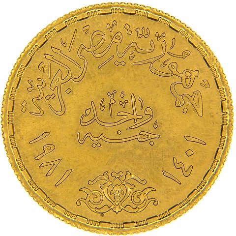 1 Pound 1981-AH1401 - Egitto