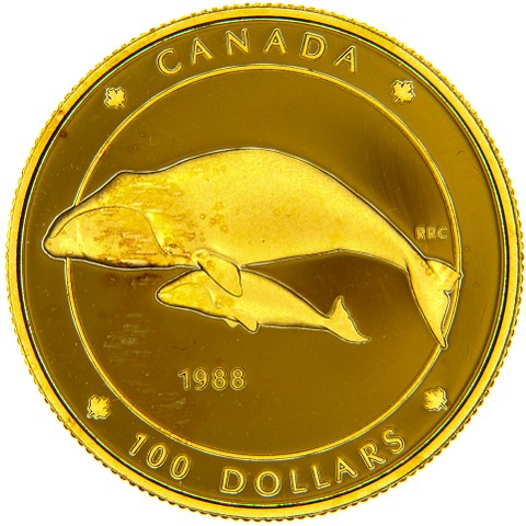 100 Dollari 1988 - Elisabetta II - Canada