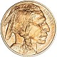 50 Dollari American Eagle | Catalogo Monete | Compro Oro Genova